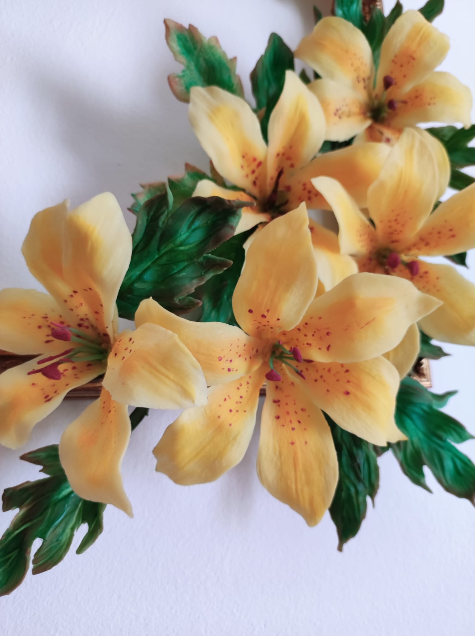 Lilium