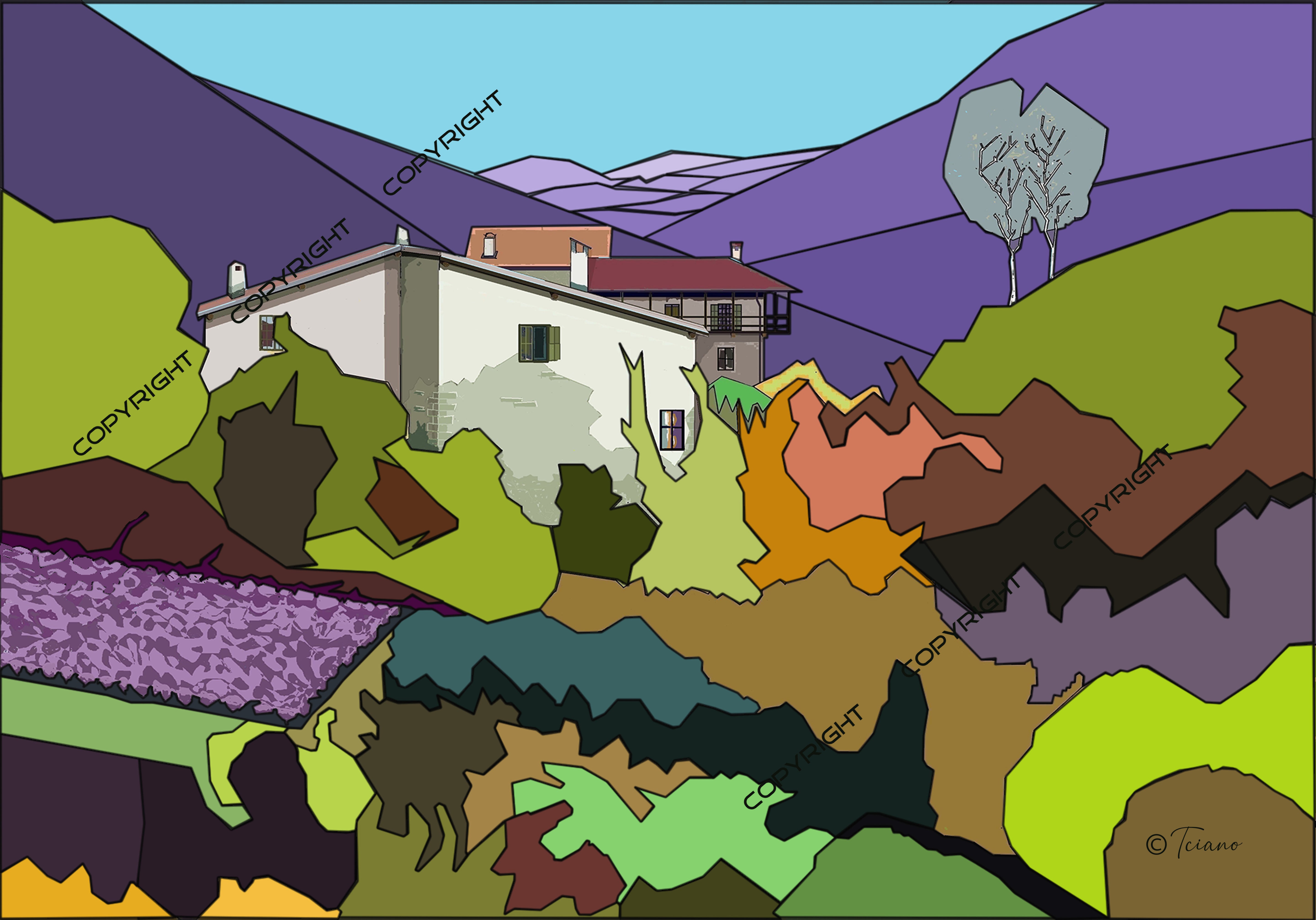 Campo verze blu