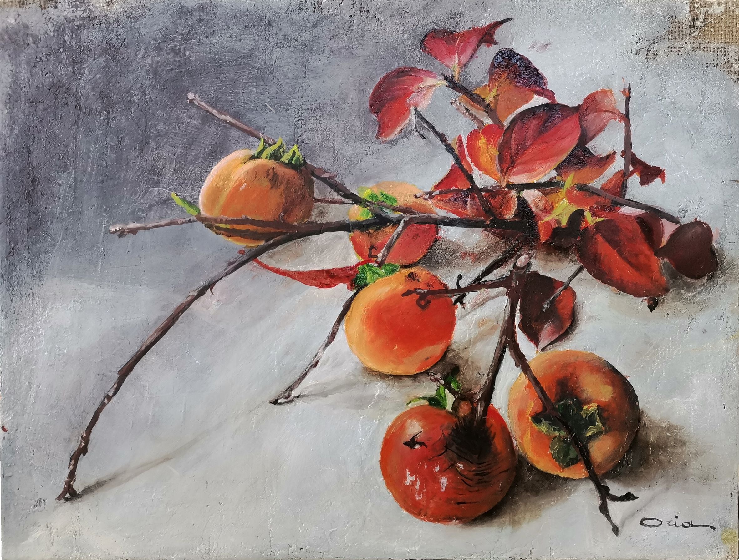 Oria Strobino - Cachi e foglie