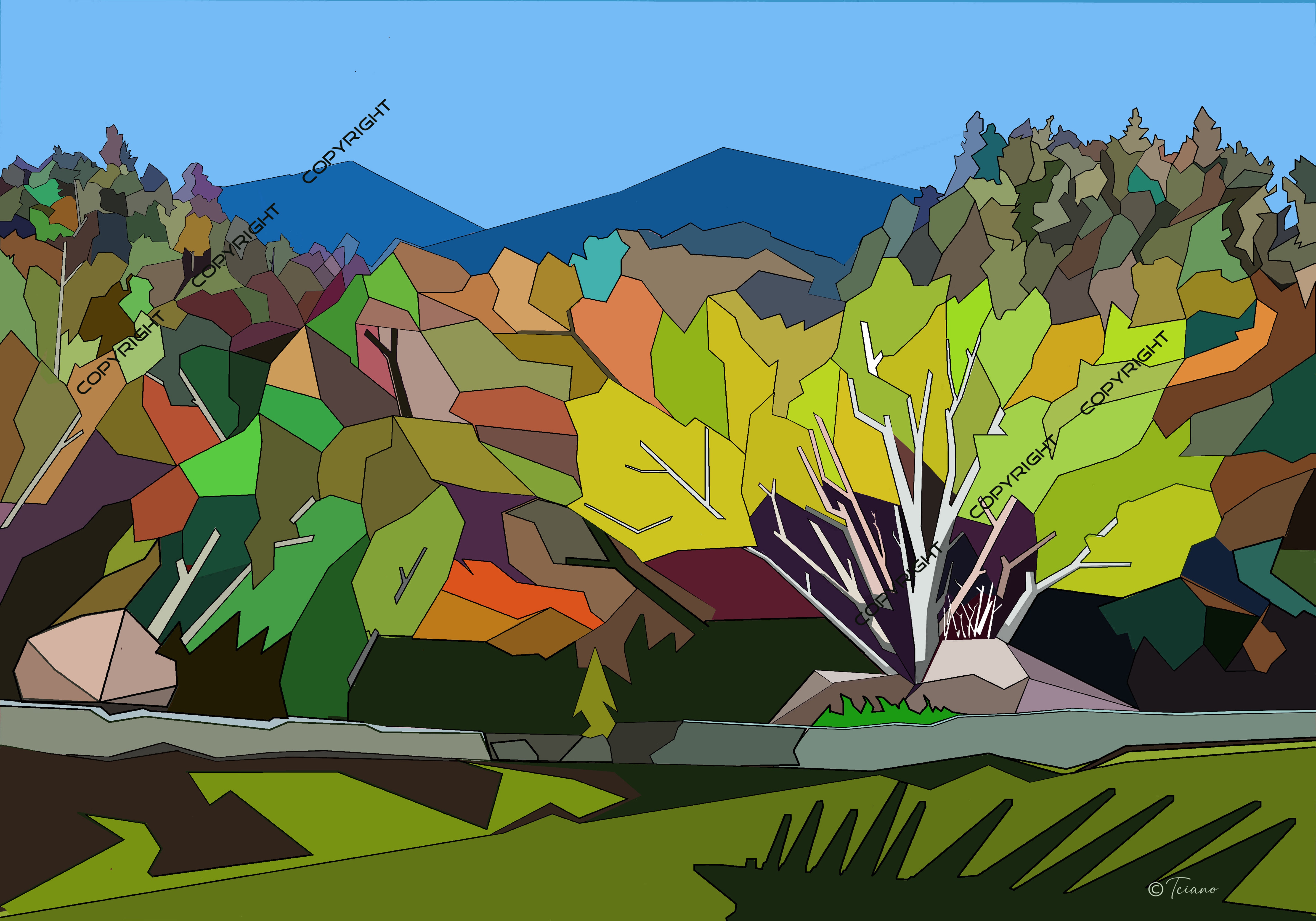 Forestry campaigns 2