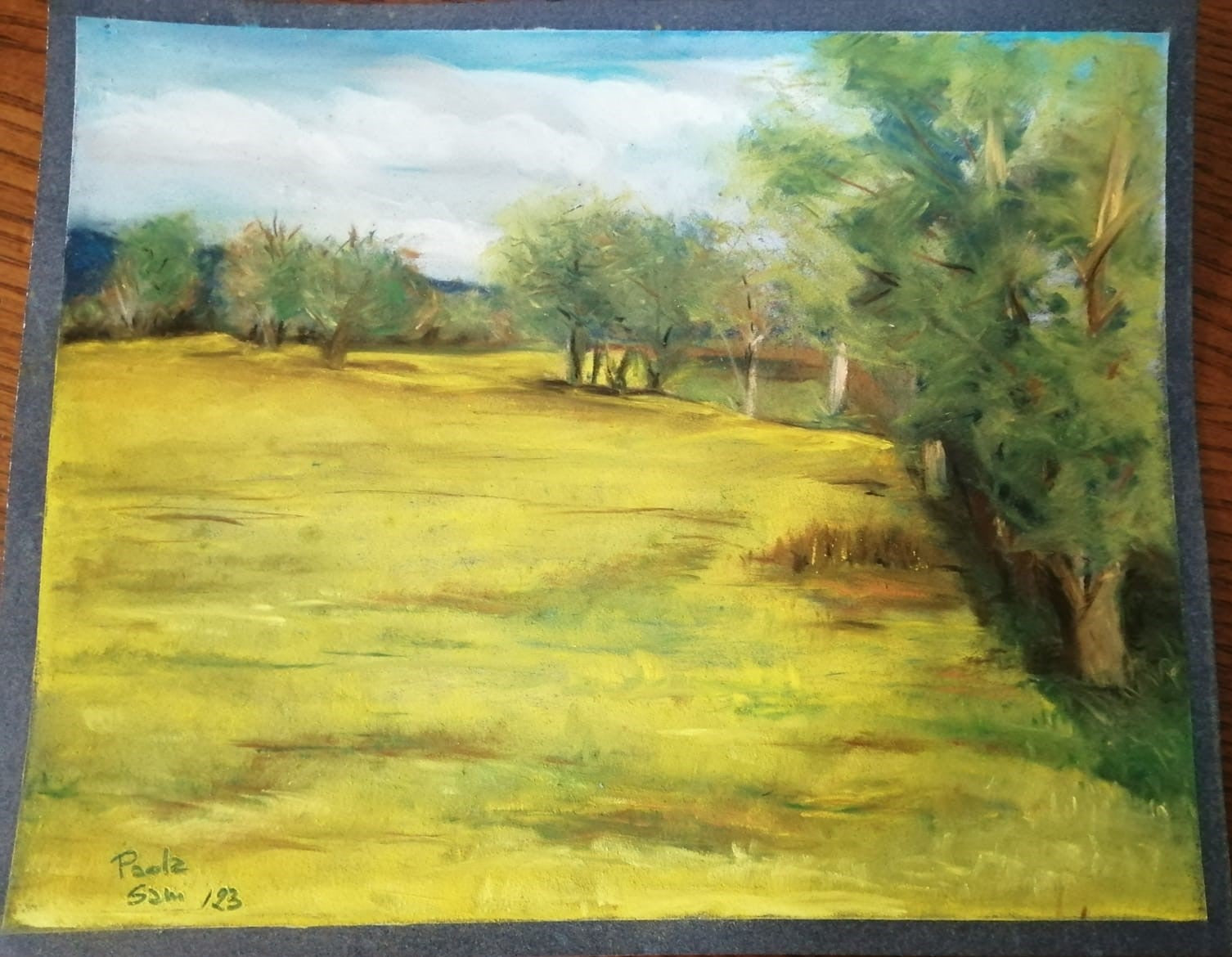 Campo di Colza
