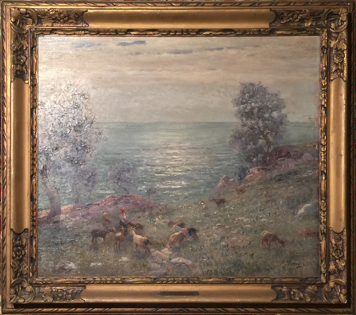 Federico Morello - Capre al Pascolo