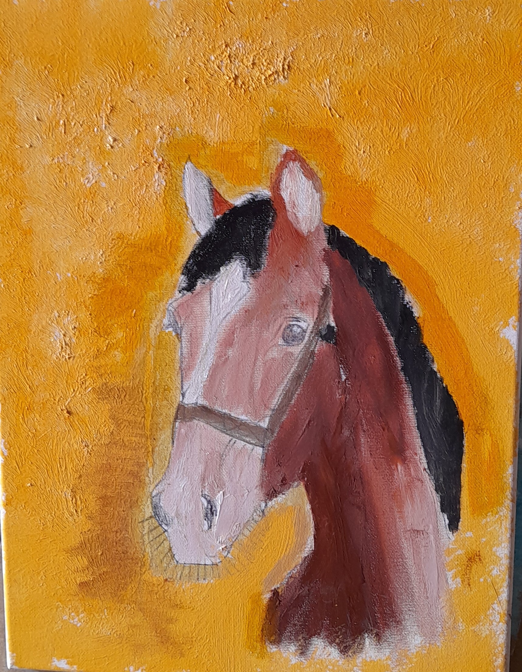 Cavallo
