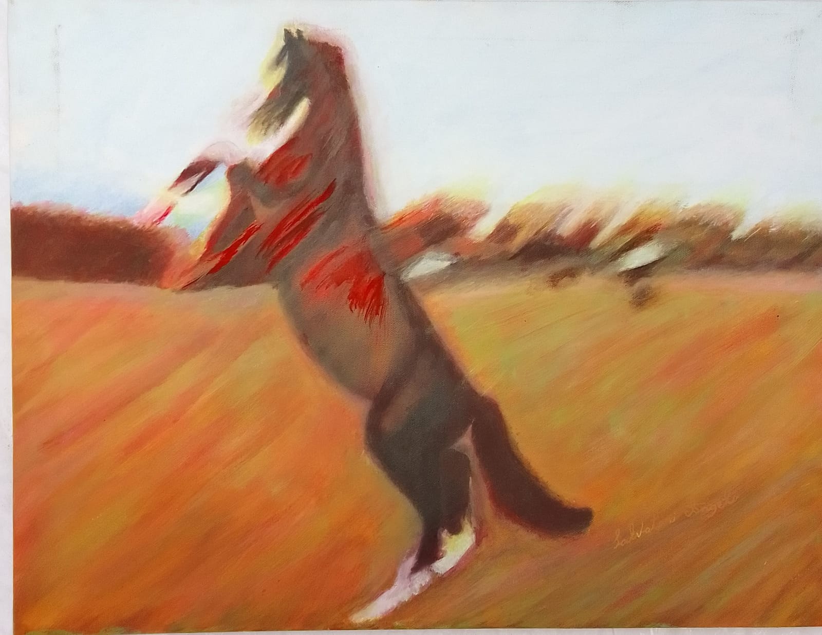 Cavallo imbezarito