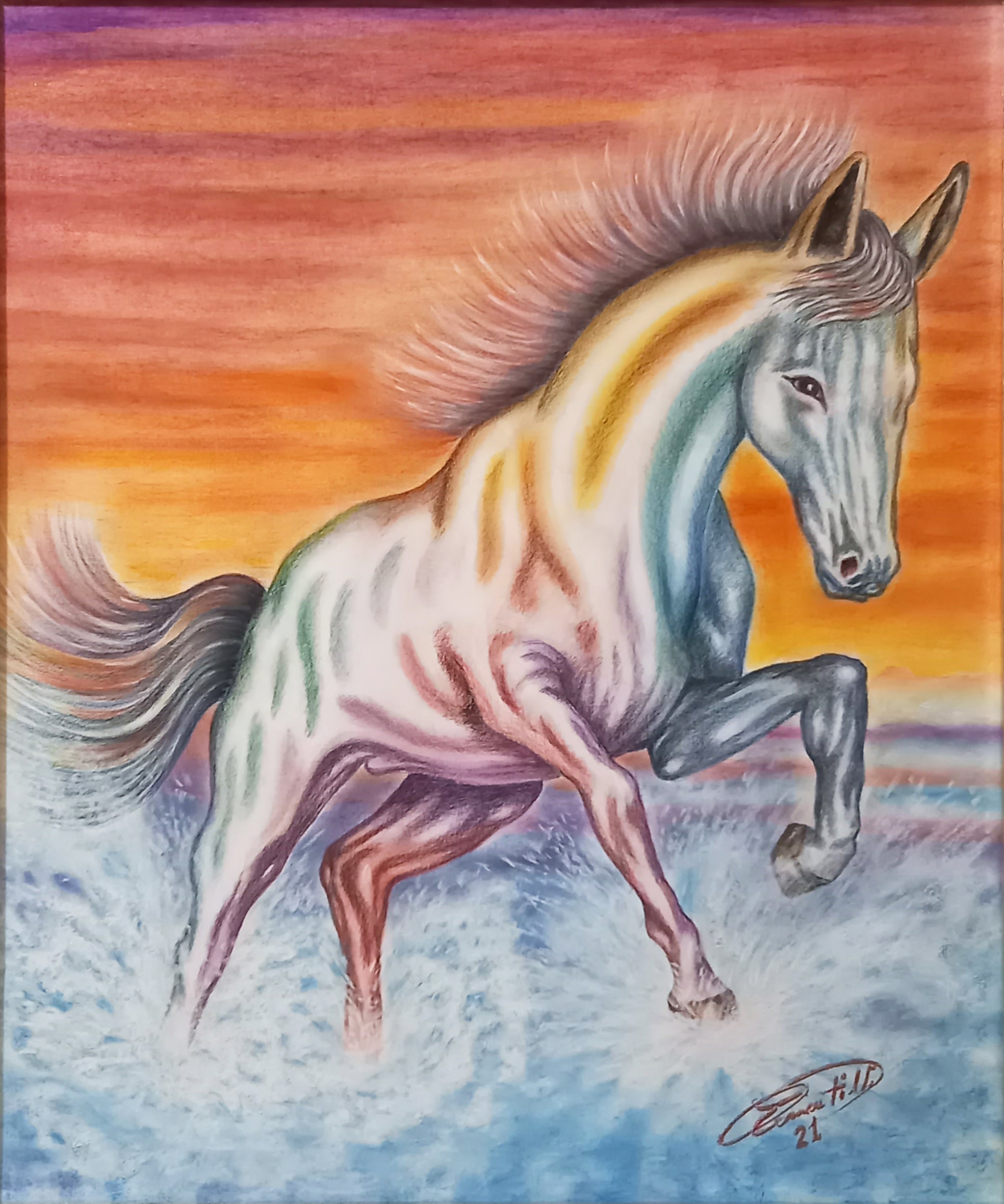 Cavallo sulla riva