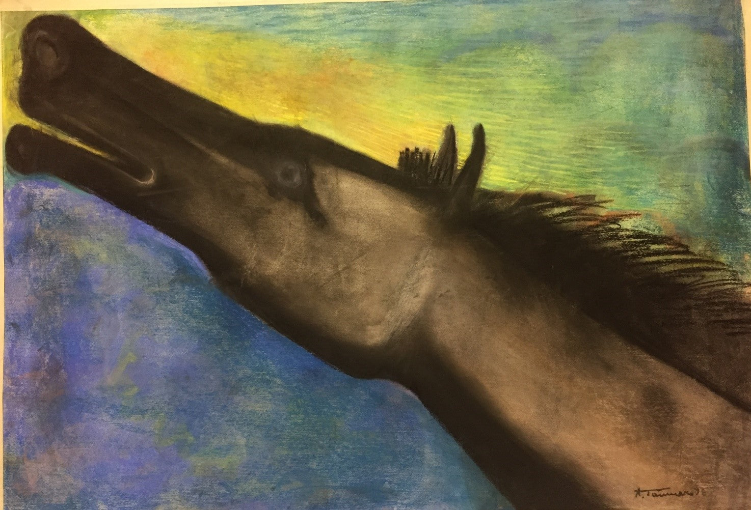 Caballo adorando al sol