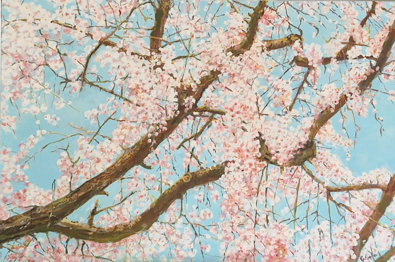 Cerezos en flor