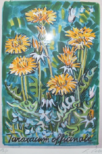 Giancarlo Colli - Fiori
