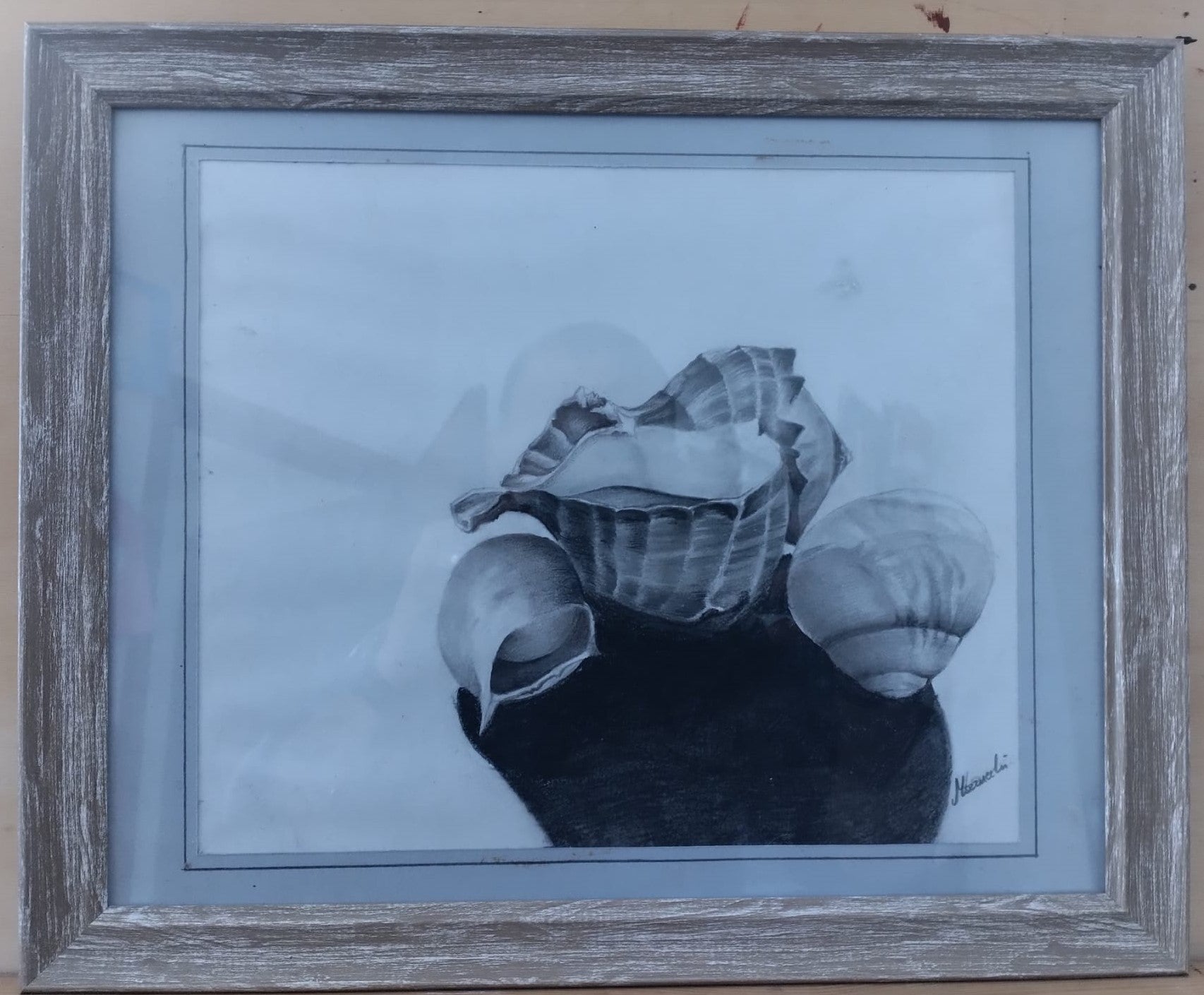 composizione di conchiglie