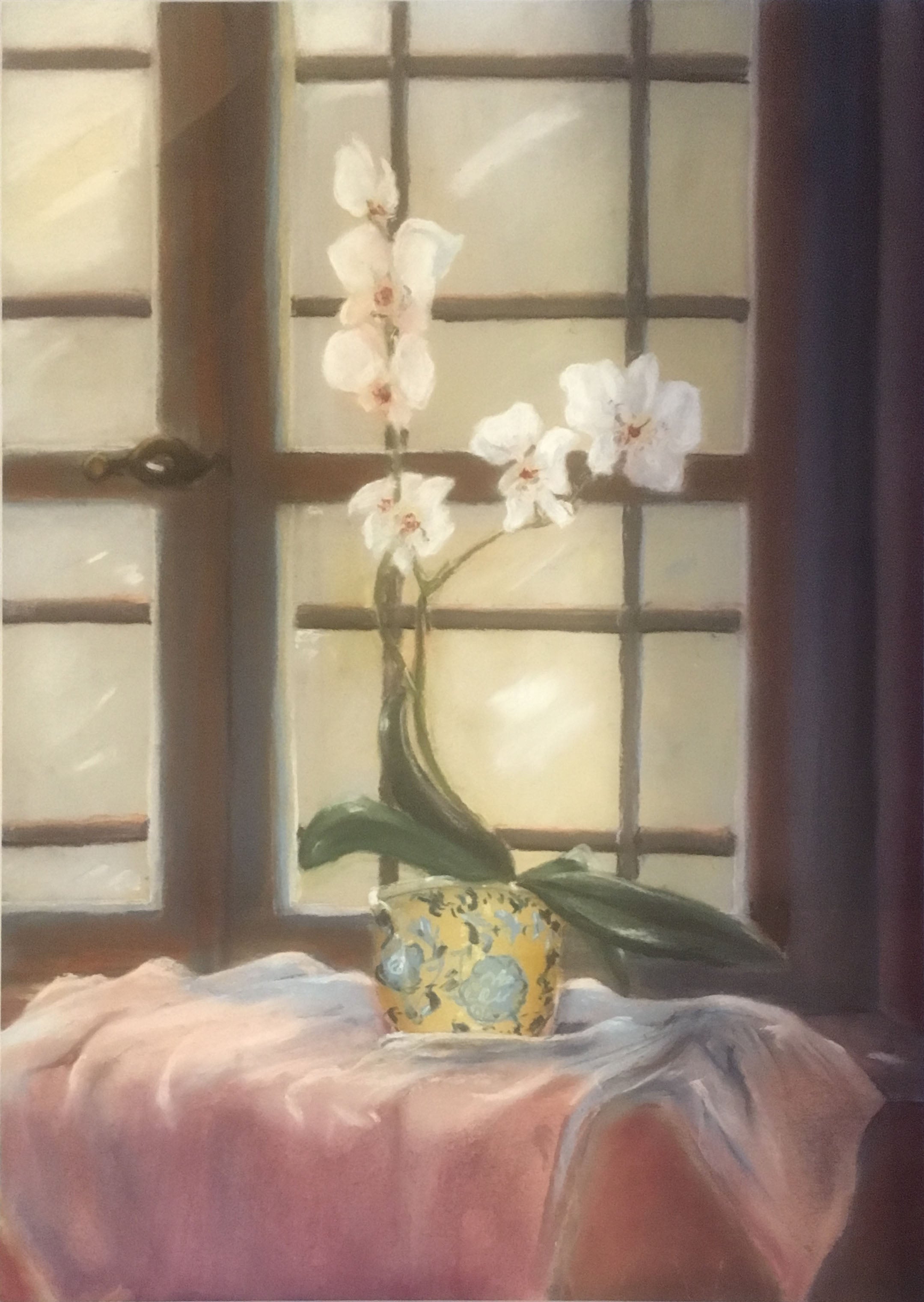 Anna Maria Garibotti - Fiori sul davanzale