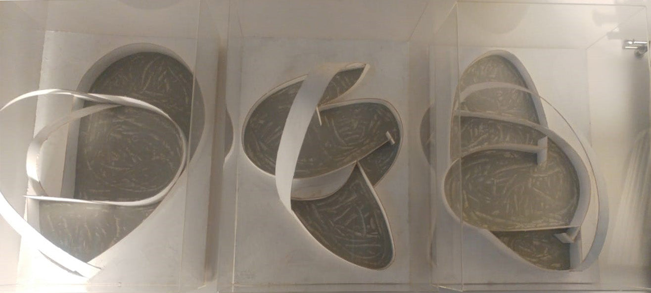 Renato Ranaldi - Fisionomia architettura
