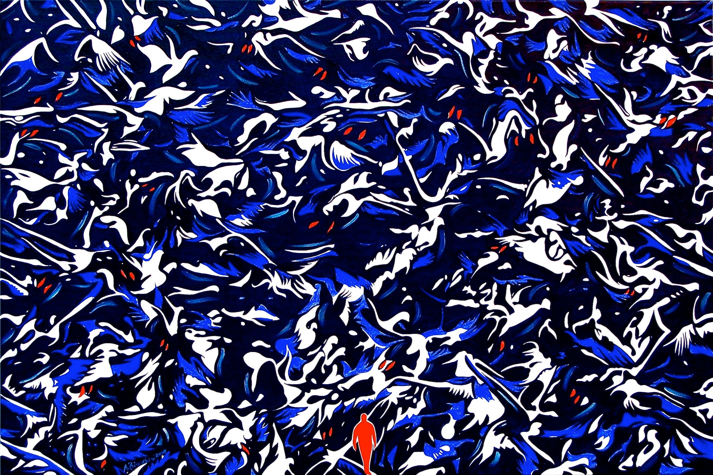 Andrea Bianchini - Dove osano le oche
