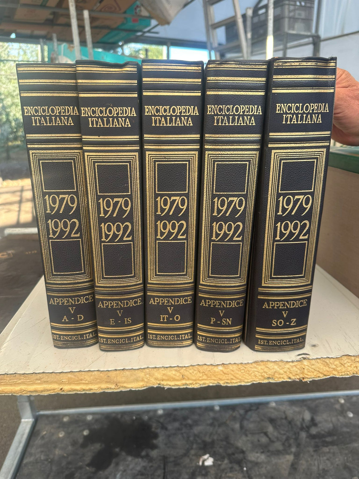 ENCICLOPEDIA ITALIANA di TRECCANI, editoria di pregio