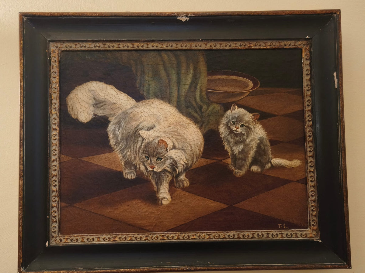 GATTO di T.S., olio