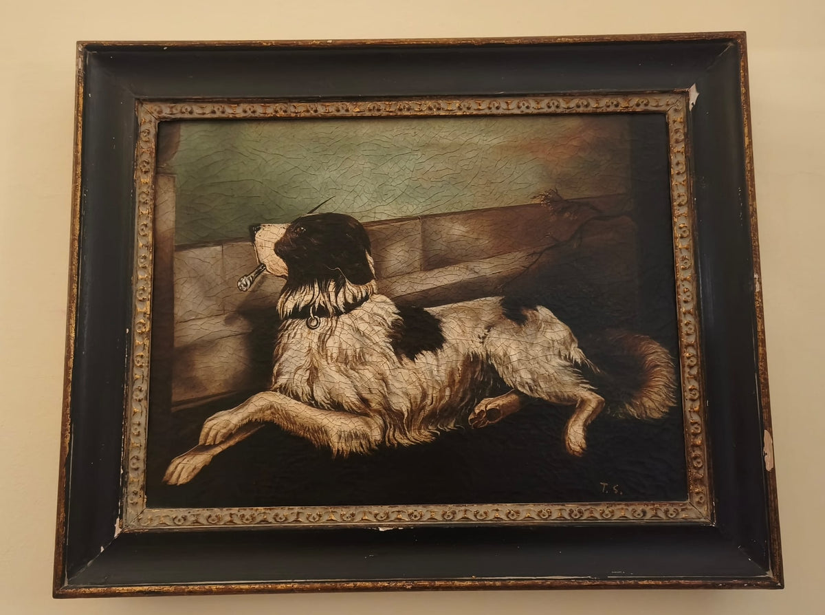CANE di T.S., olio