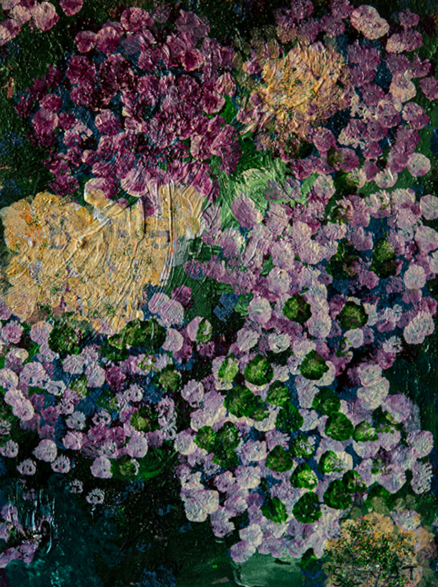 Ortensie 1