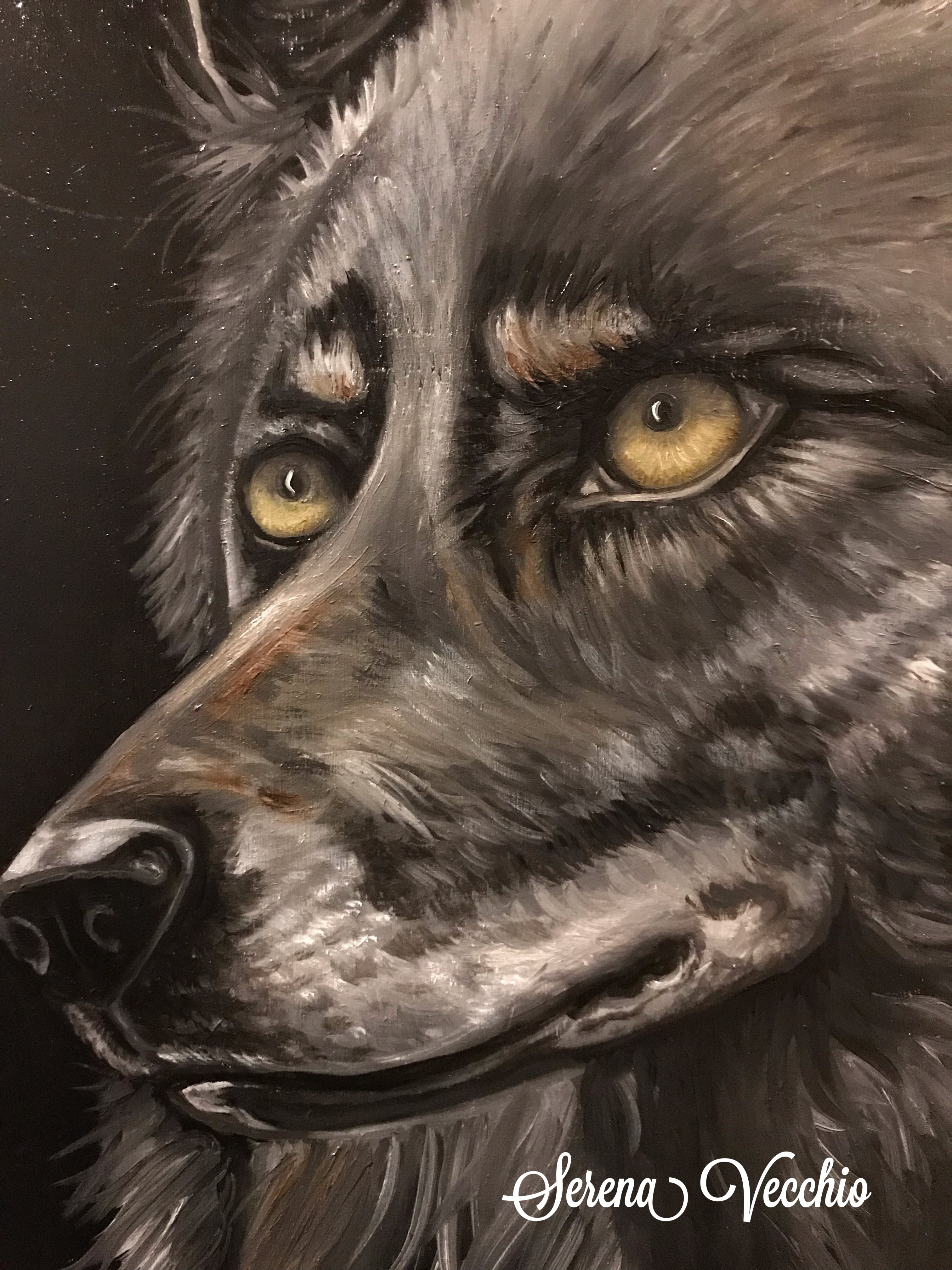Wolf