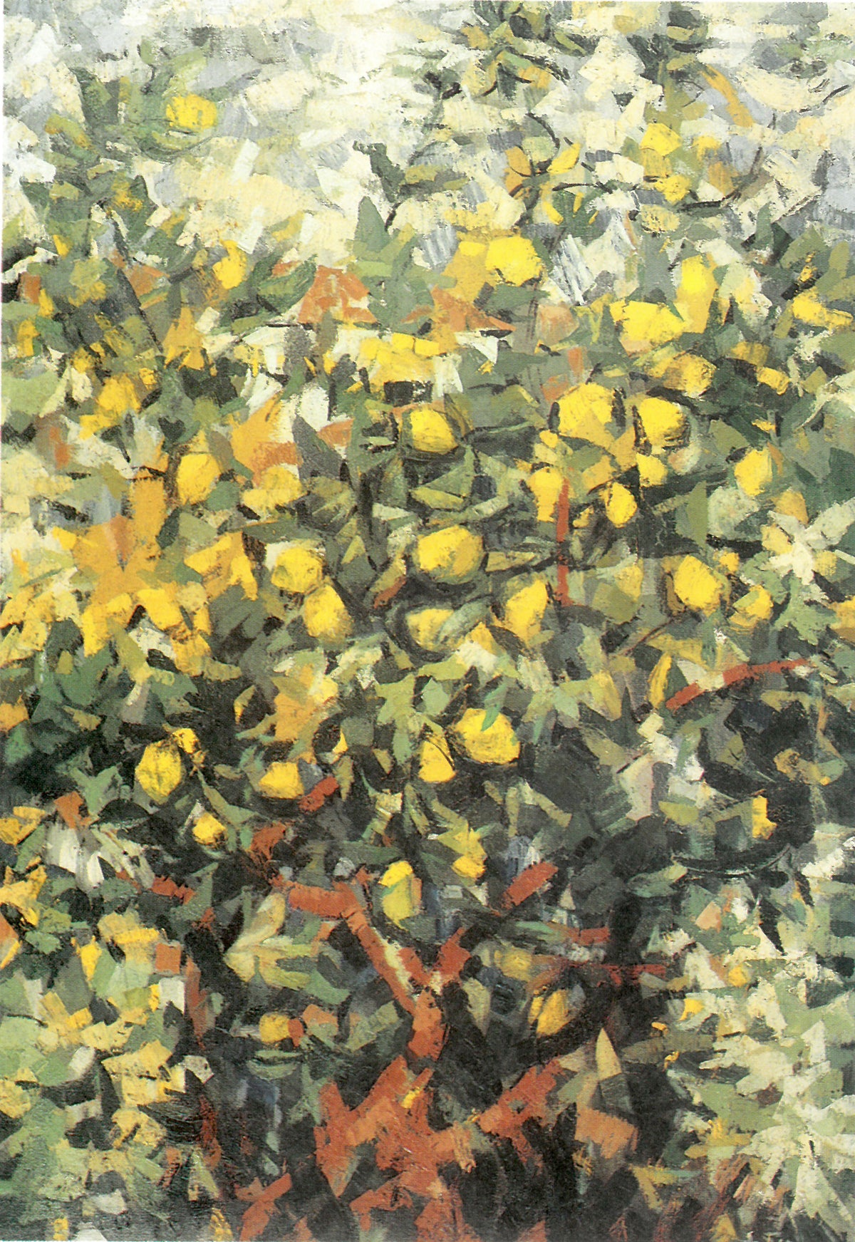 Limoneto di Salvatore Ferma, olio su tela – paesaggio
