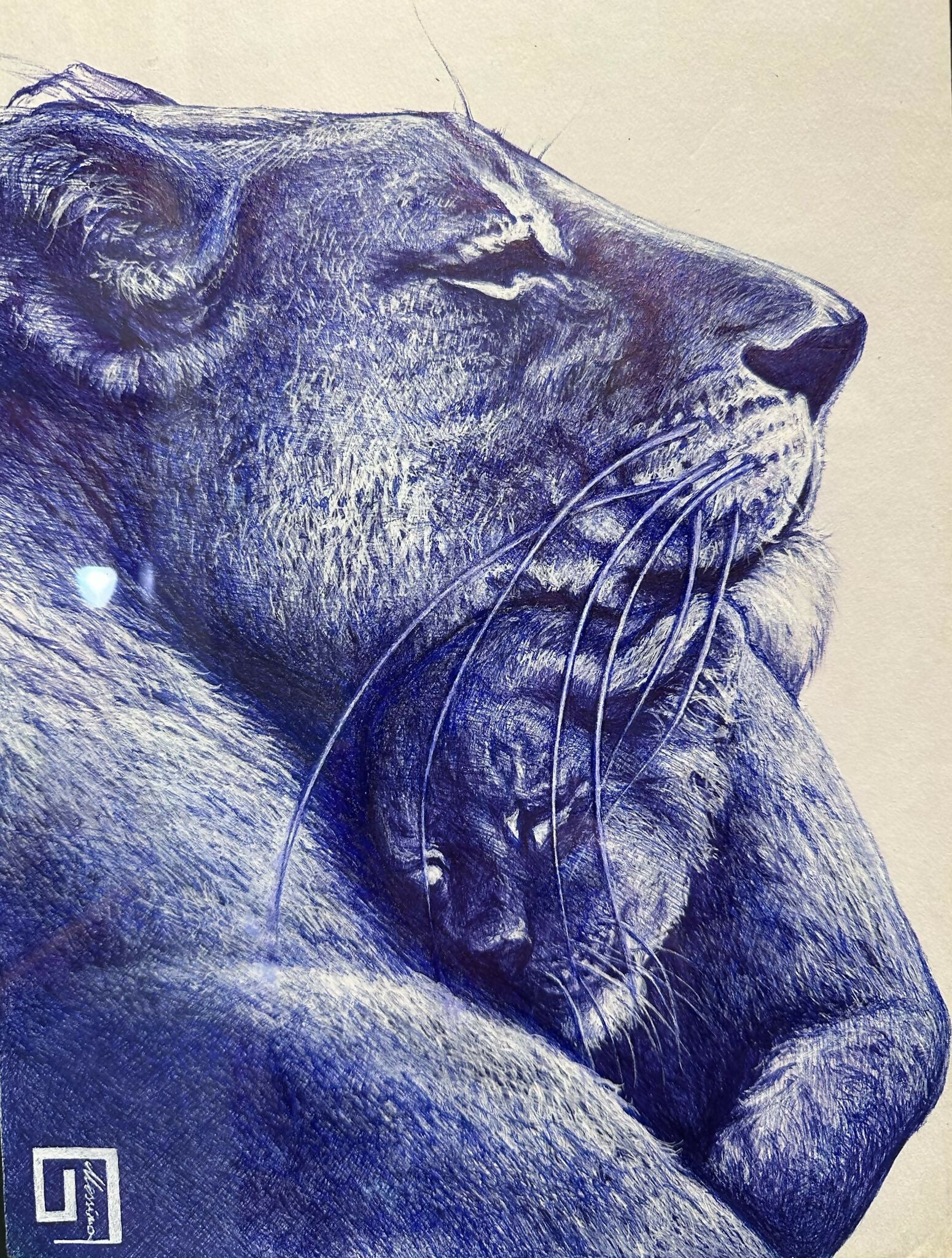 Ilaria Messina - Maternità 2