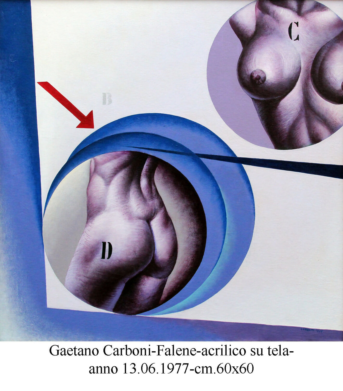 Falene di Gaetano Carboni, acrilico