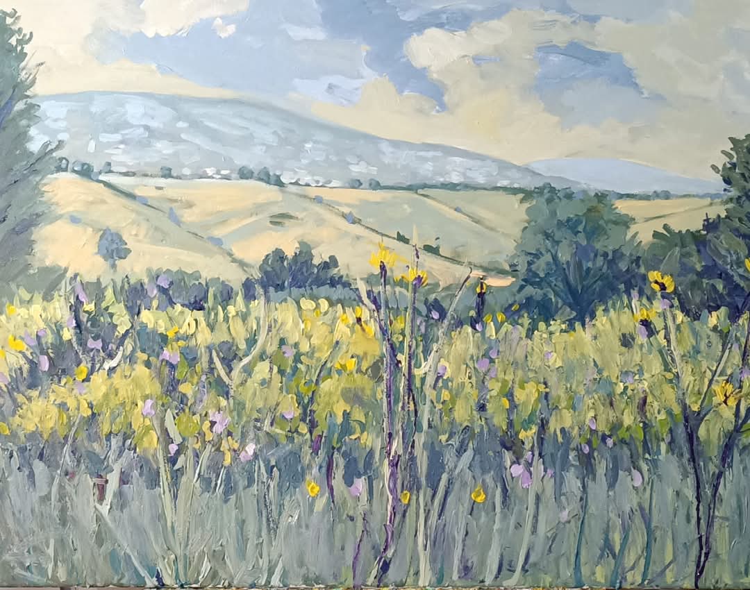 CAMPAGNA CIOCIARA