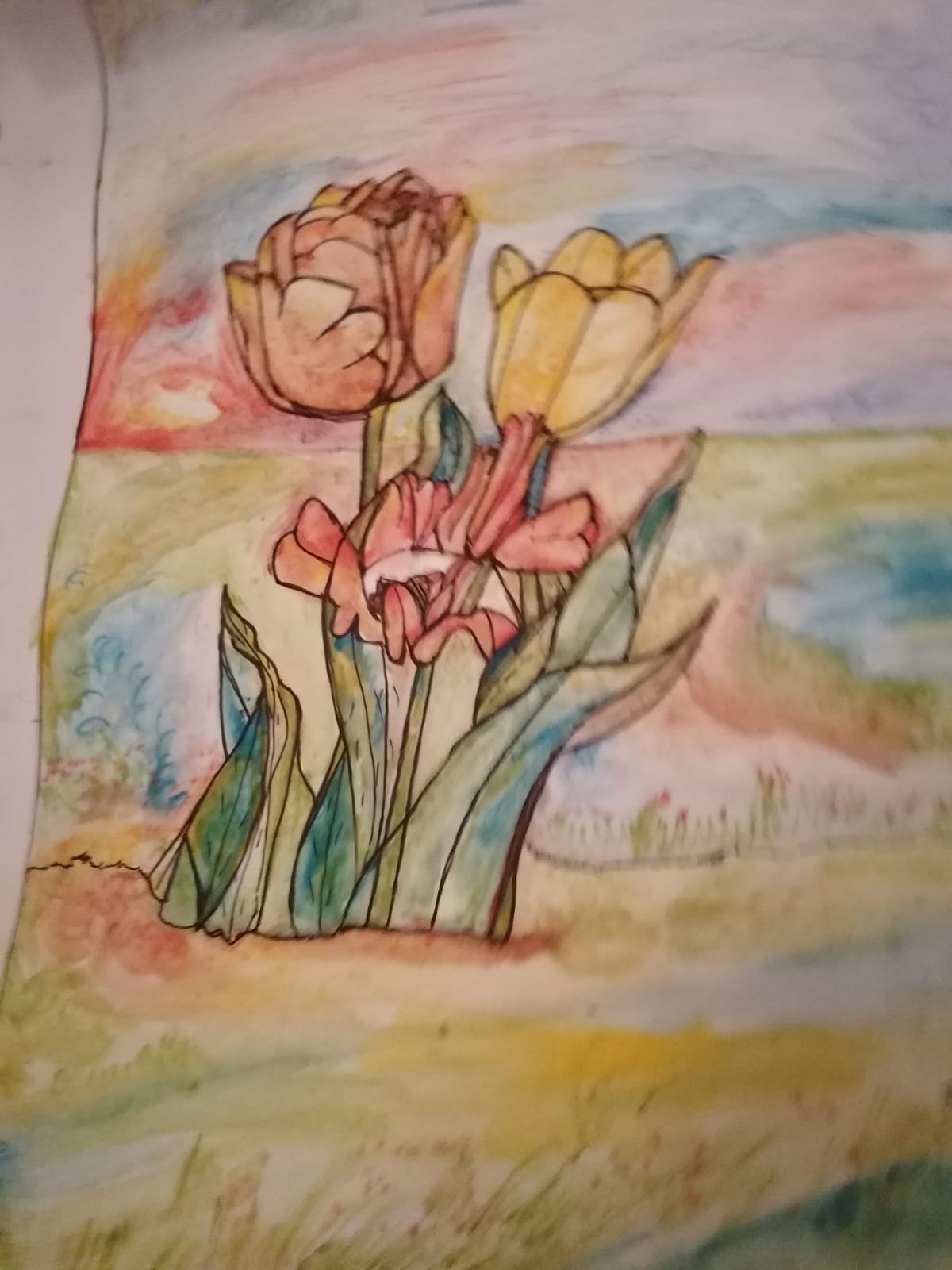 Tulipani