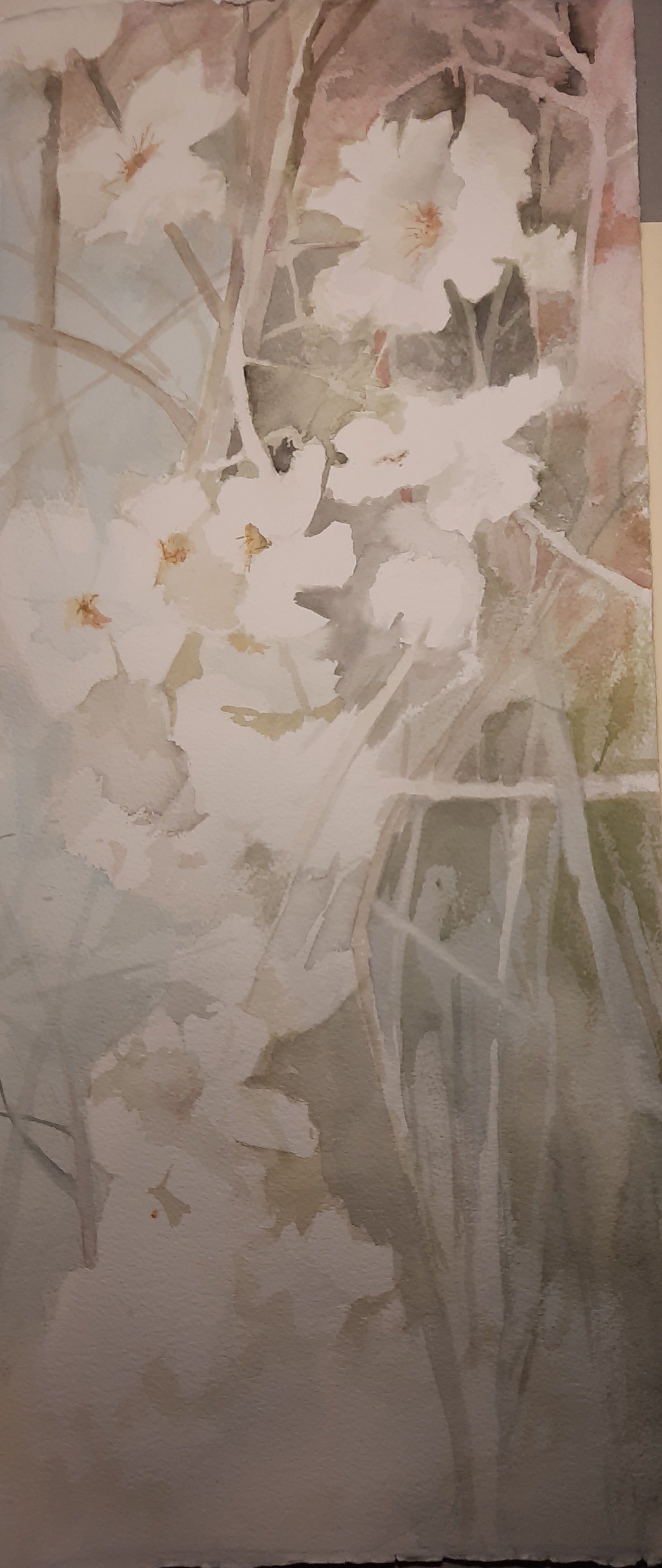 fiori