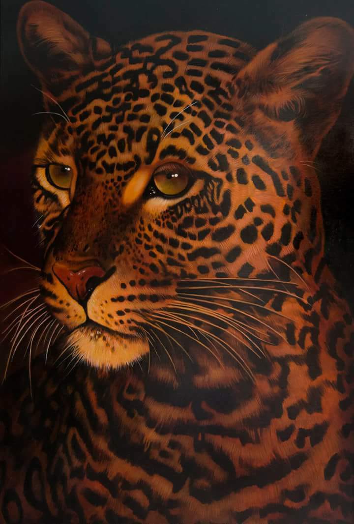 Rolando Conti - Leopard