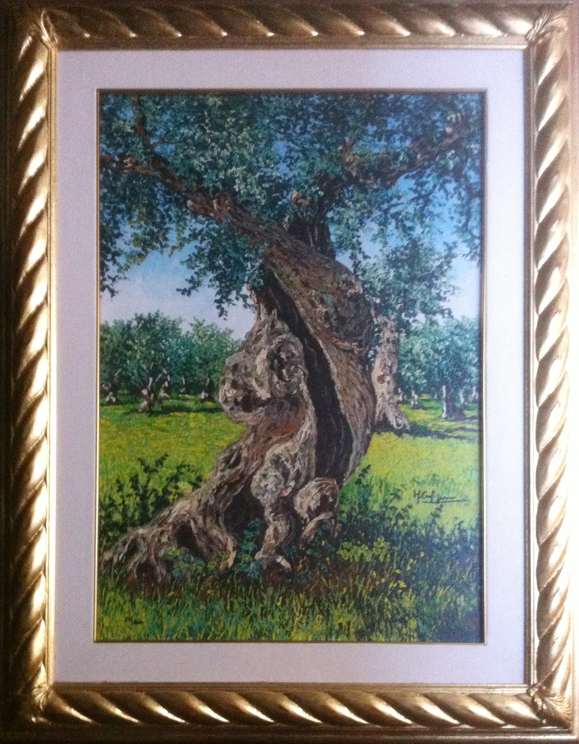 Michele Carpignano - Ulivo