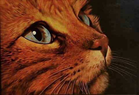 Rolando Conti - Occhi di gatto