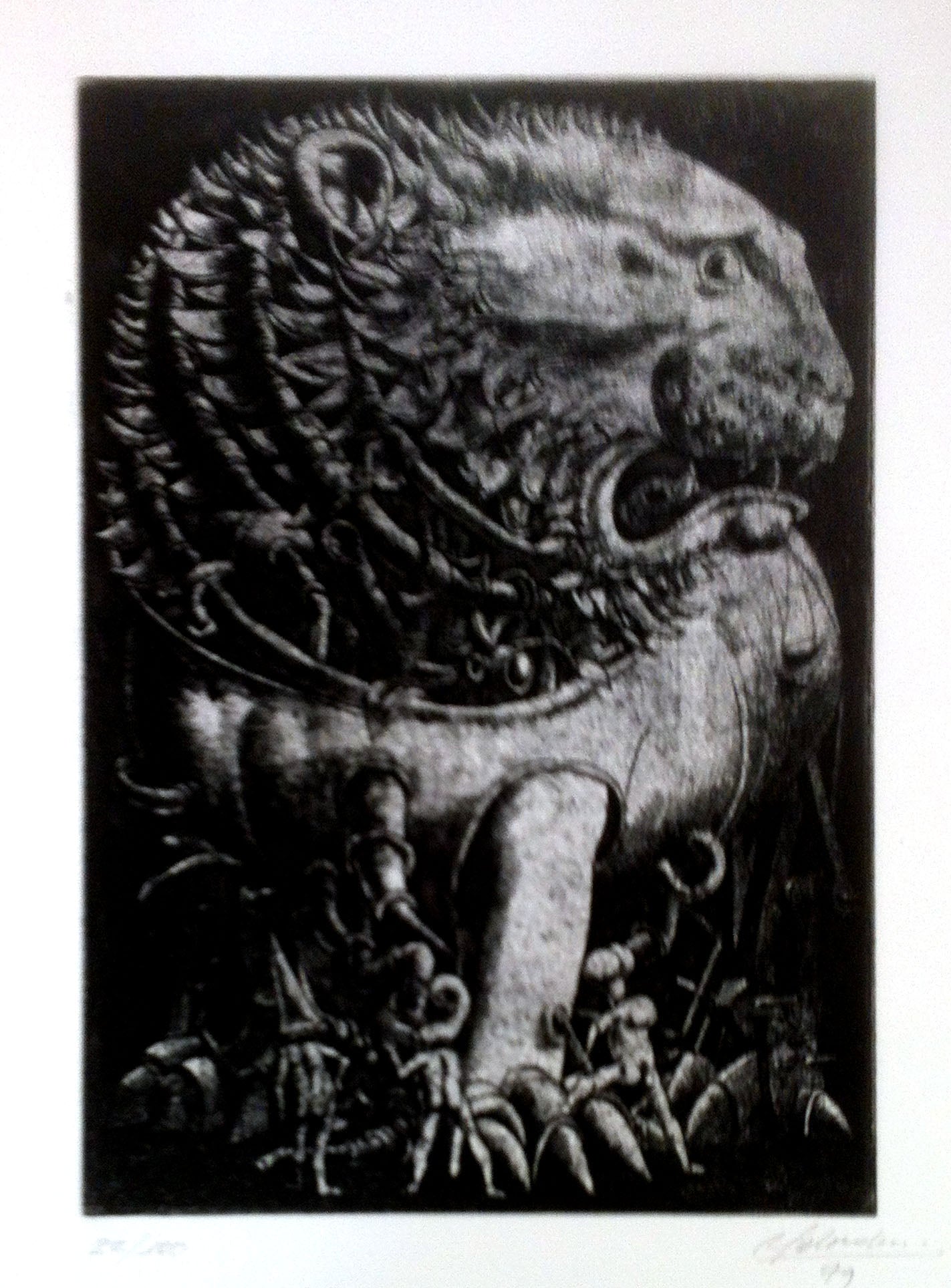 Meetings - 20 Tuscan Artists - The Graphic Owl