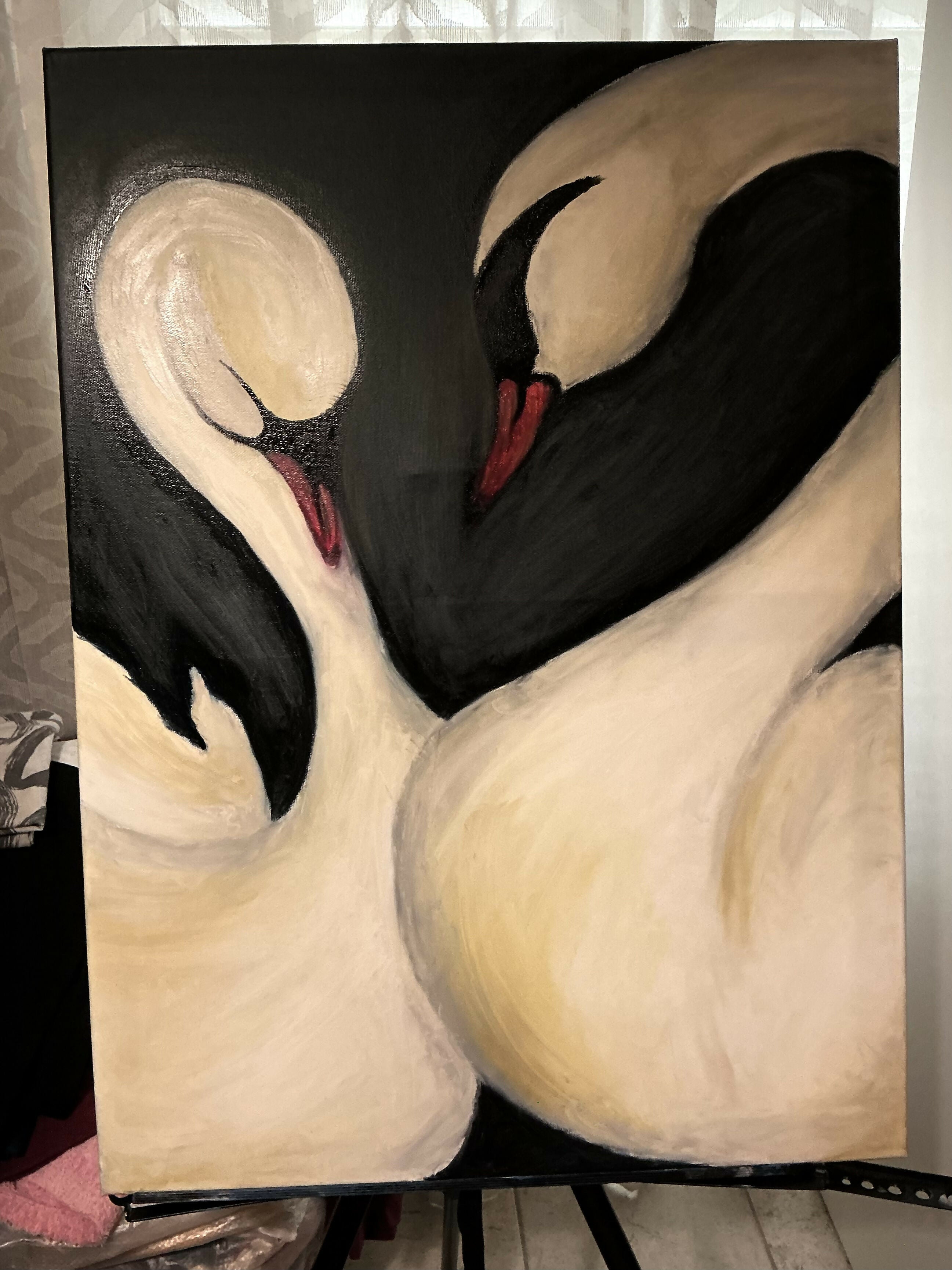 Teoria dell’attrazione nei cigni