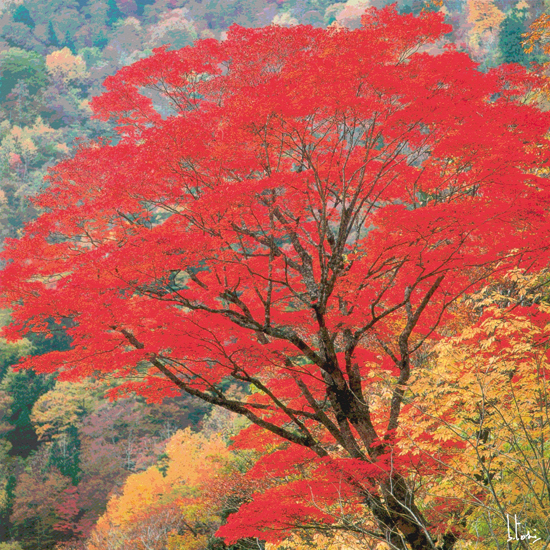 Giardino d'autunno