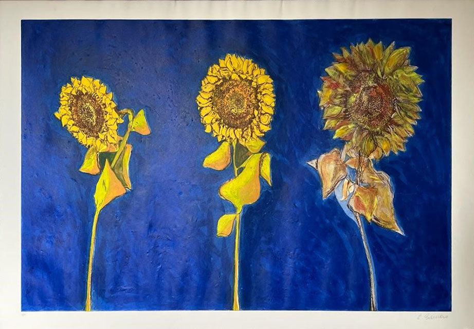 Ermanno Barovero - Sunflowers