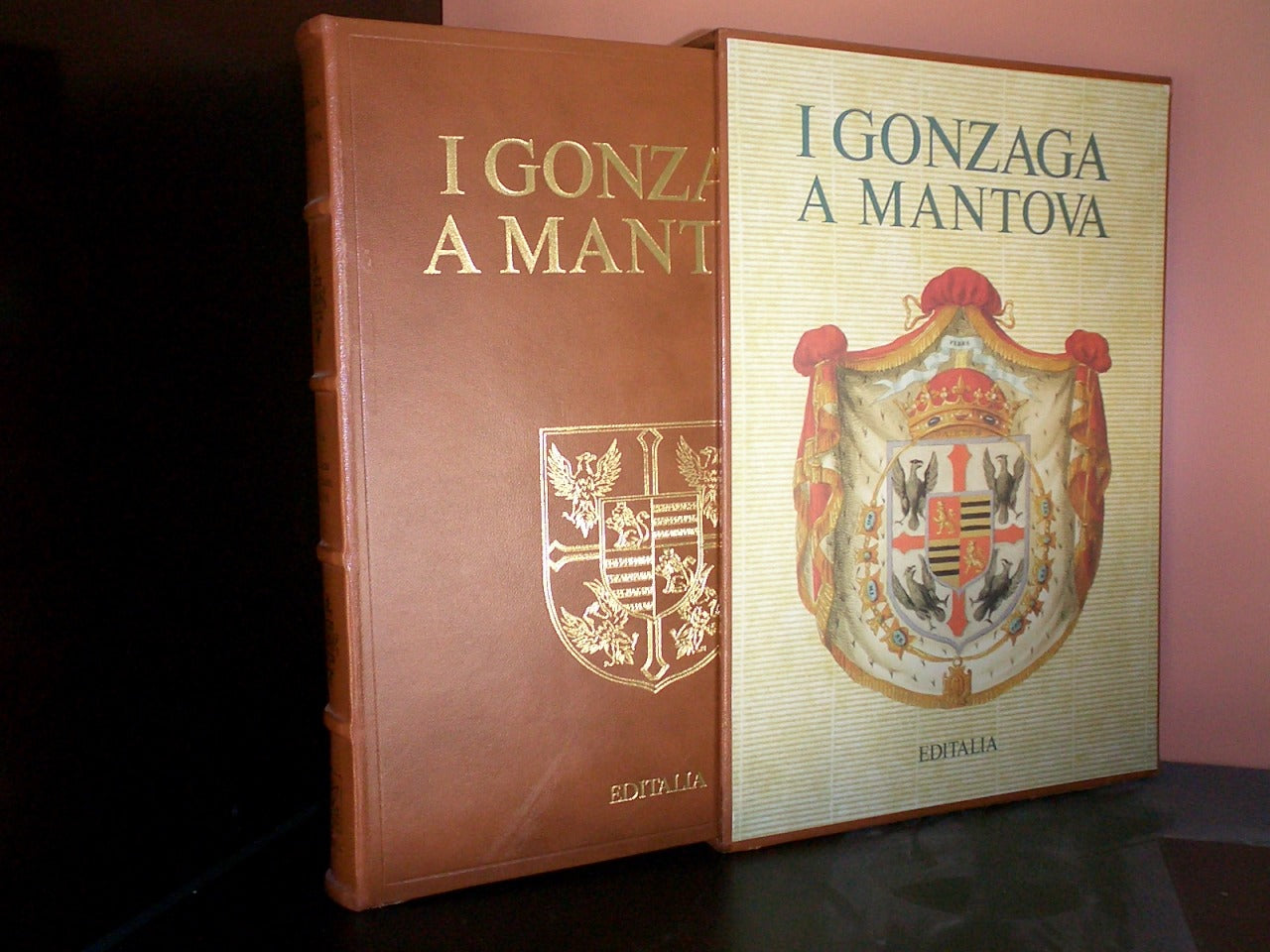 Brescia nella Storia, Como e il Lario, Bergamo nell'Ottocento, I Gonzaga a Mantova, Cremona Guelfa e Ghibellina, I Visconti e gli Sforza a Milano, Mantova nell'Ottocento - Editalia