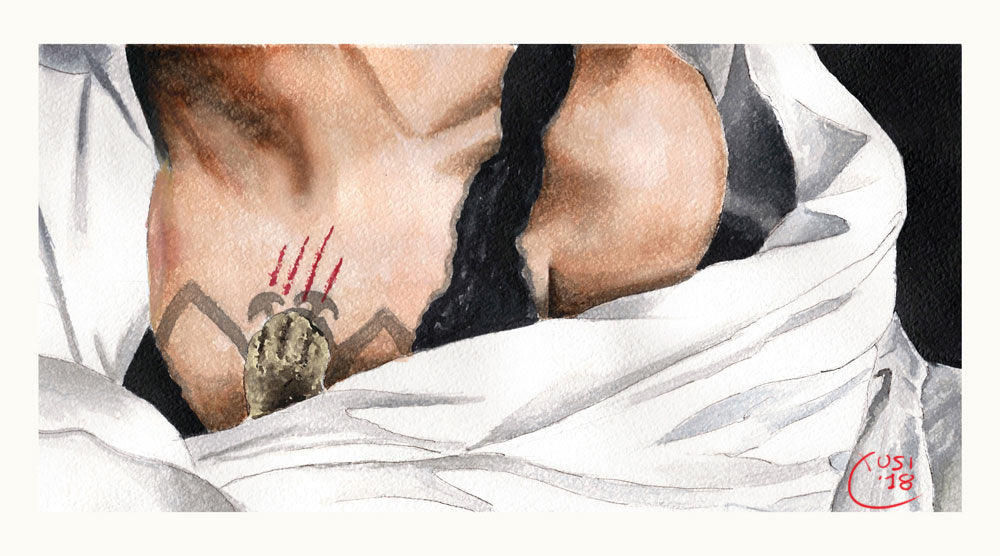Il ragno