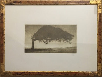 Fabio Grassi - Árbol