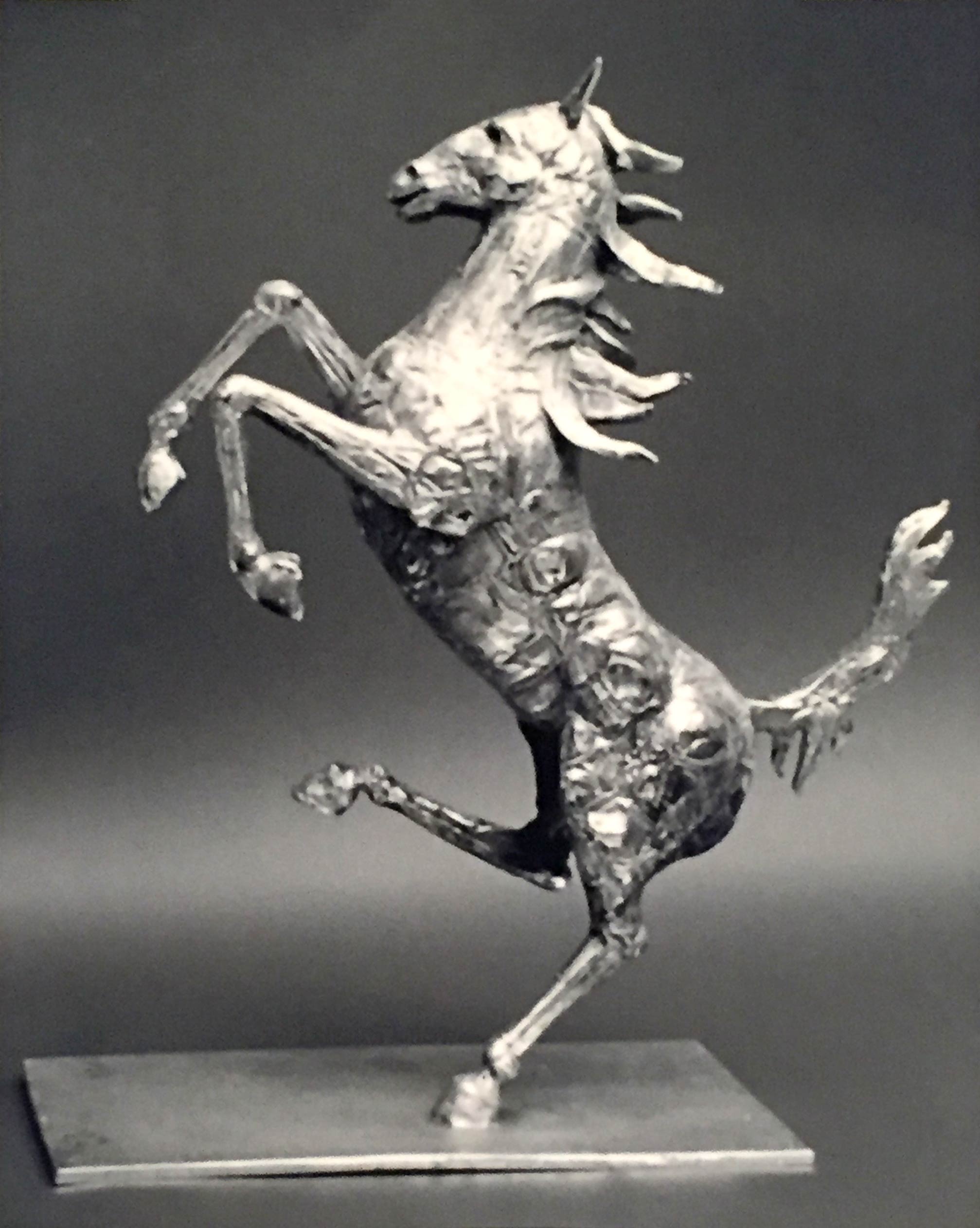 Helidon Xhixha - Cavallino rampante