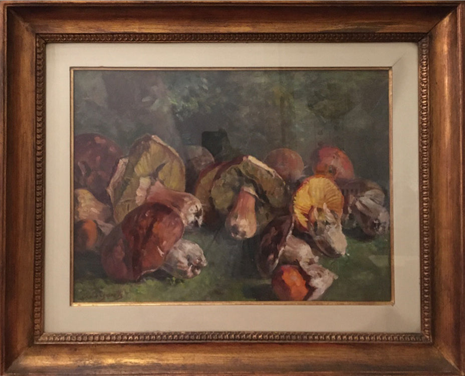 Licinio Barzanti - Funghi