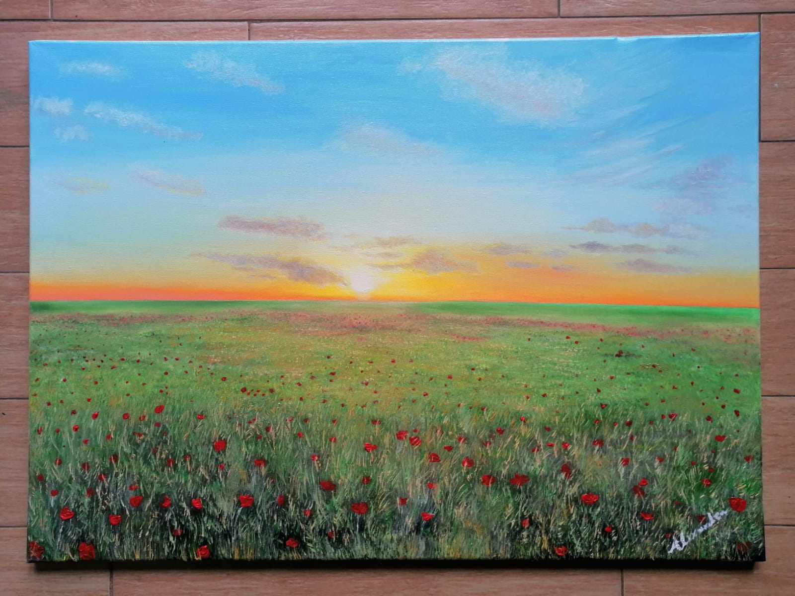 Campo di papaveri al tramonto