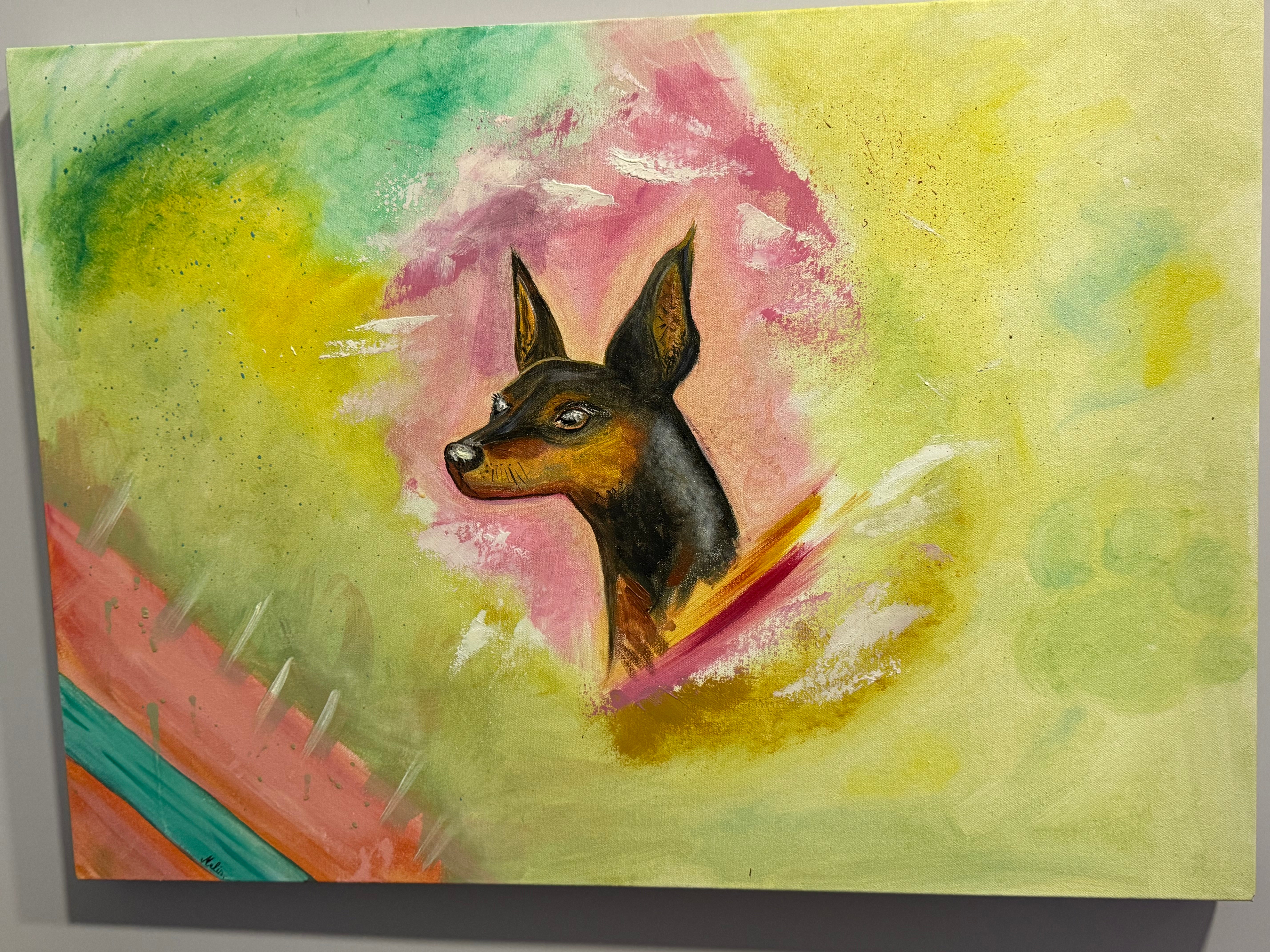 Il pinscher nei colori