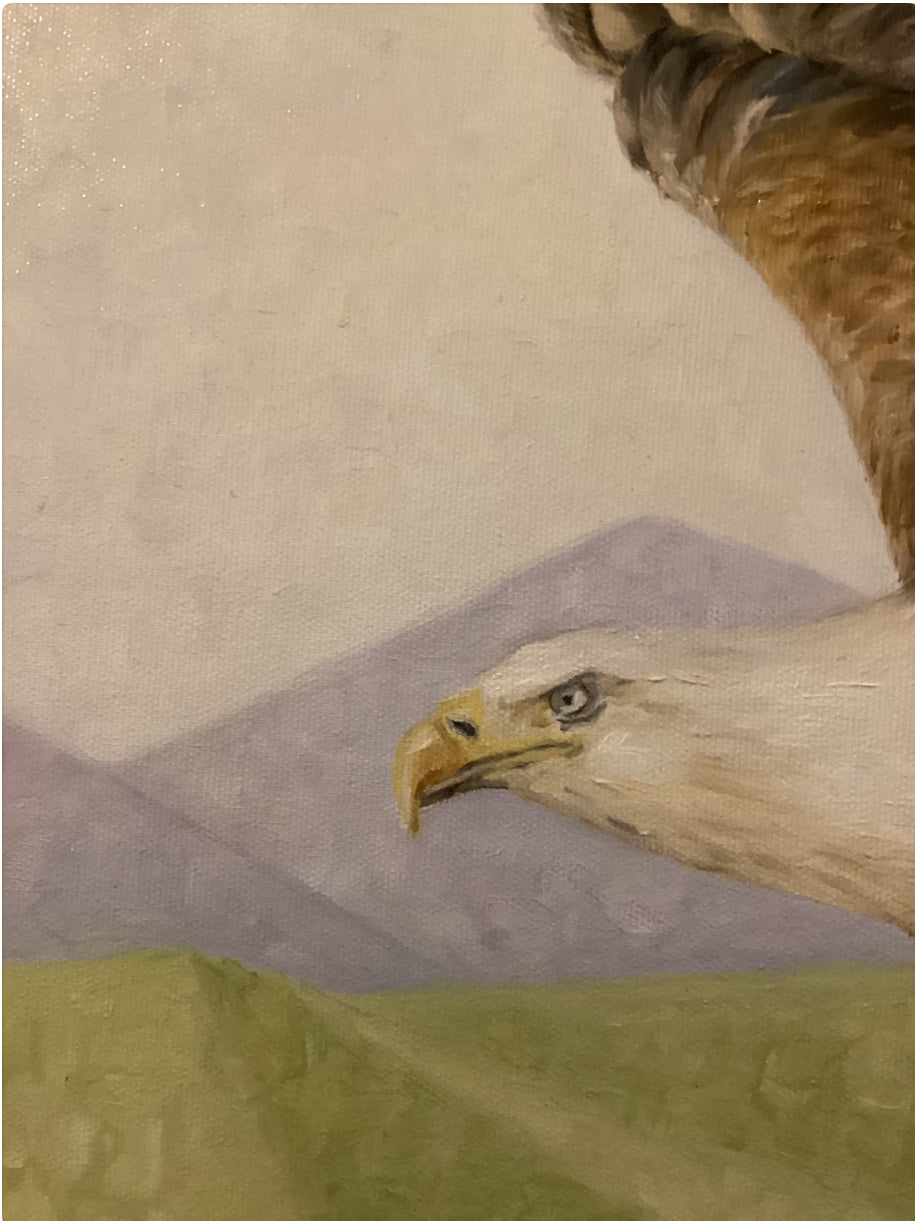 Volo aperto