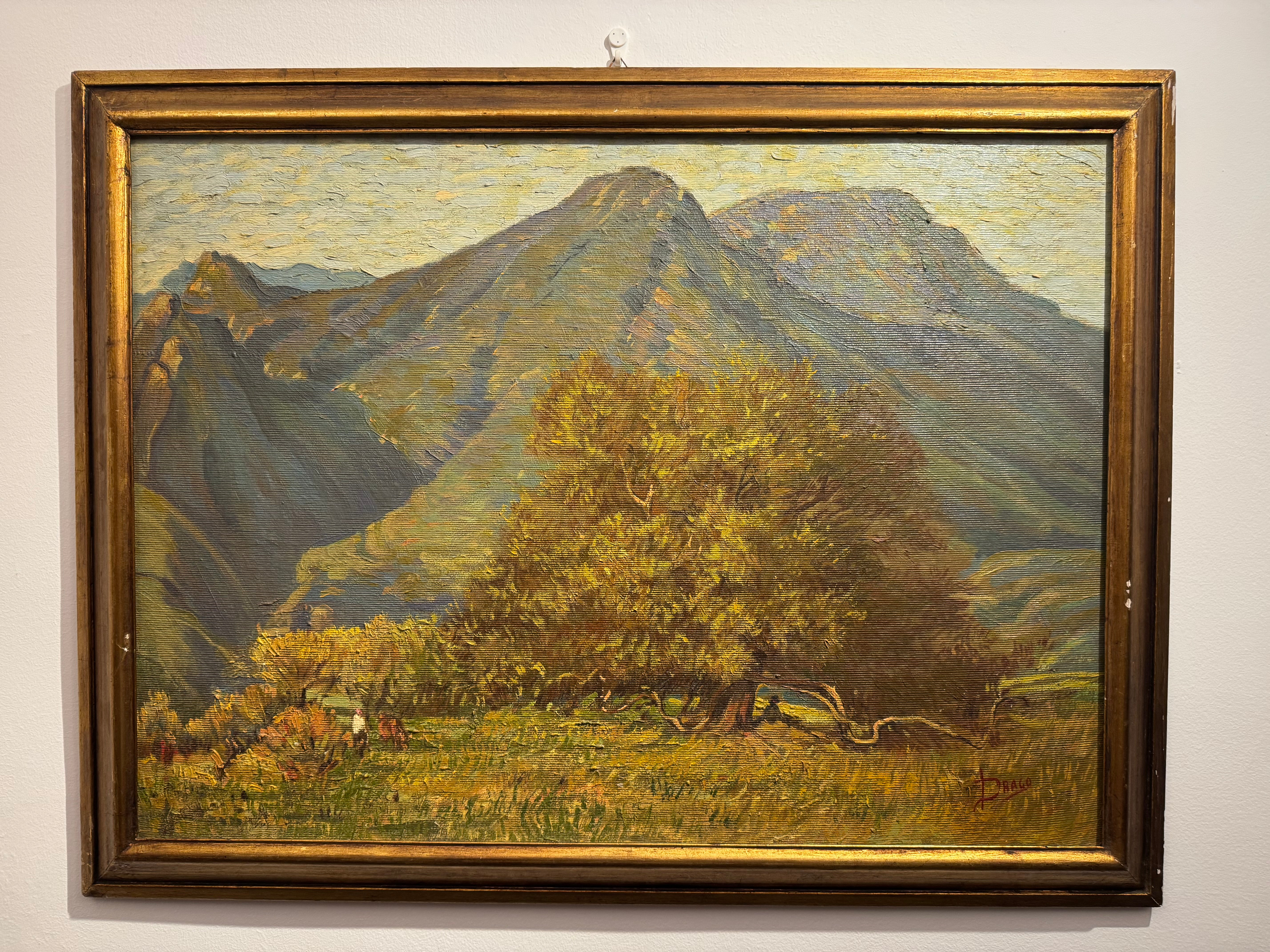 Piano delle Alpi