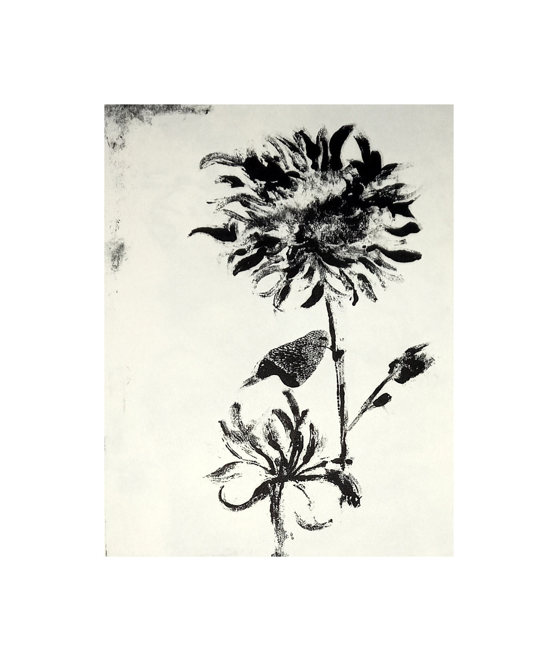 Flower Stamp