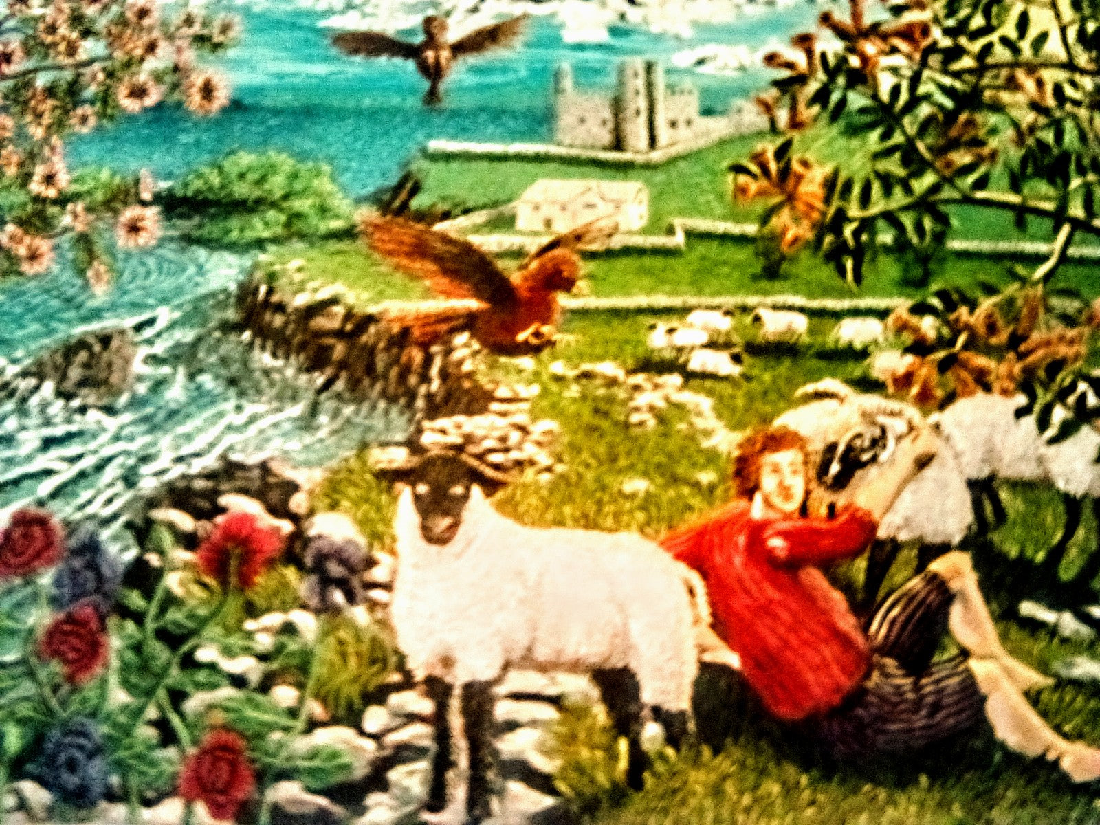 Paesaggio Irlandese.