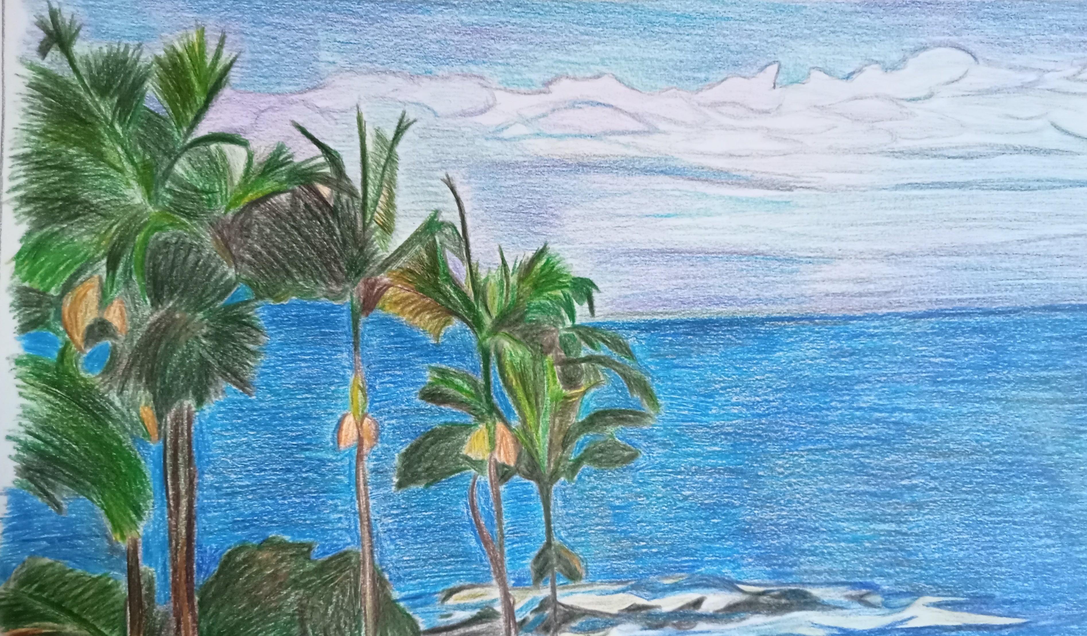 Punta Laupahoehoe (Hawái)