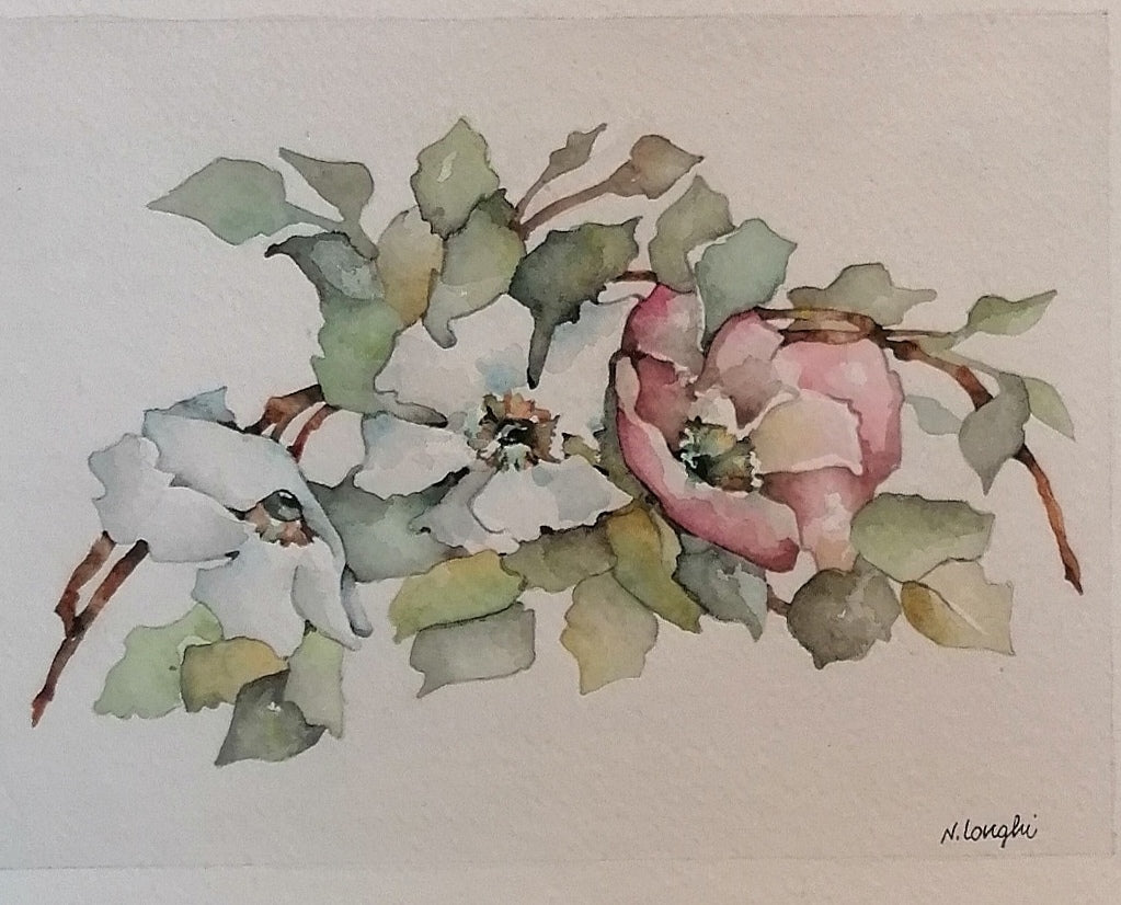 Fiori in acquerello