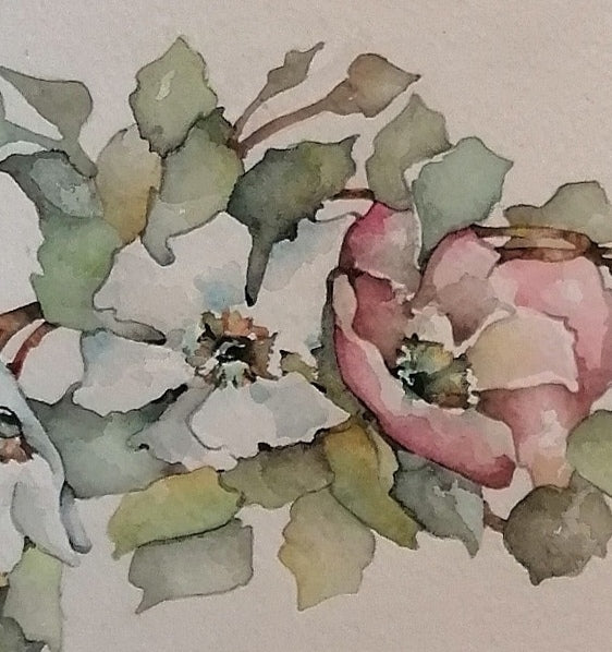 Fiori in acquerello