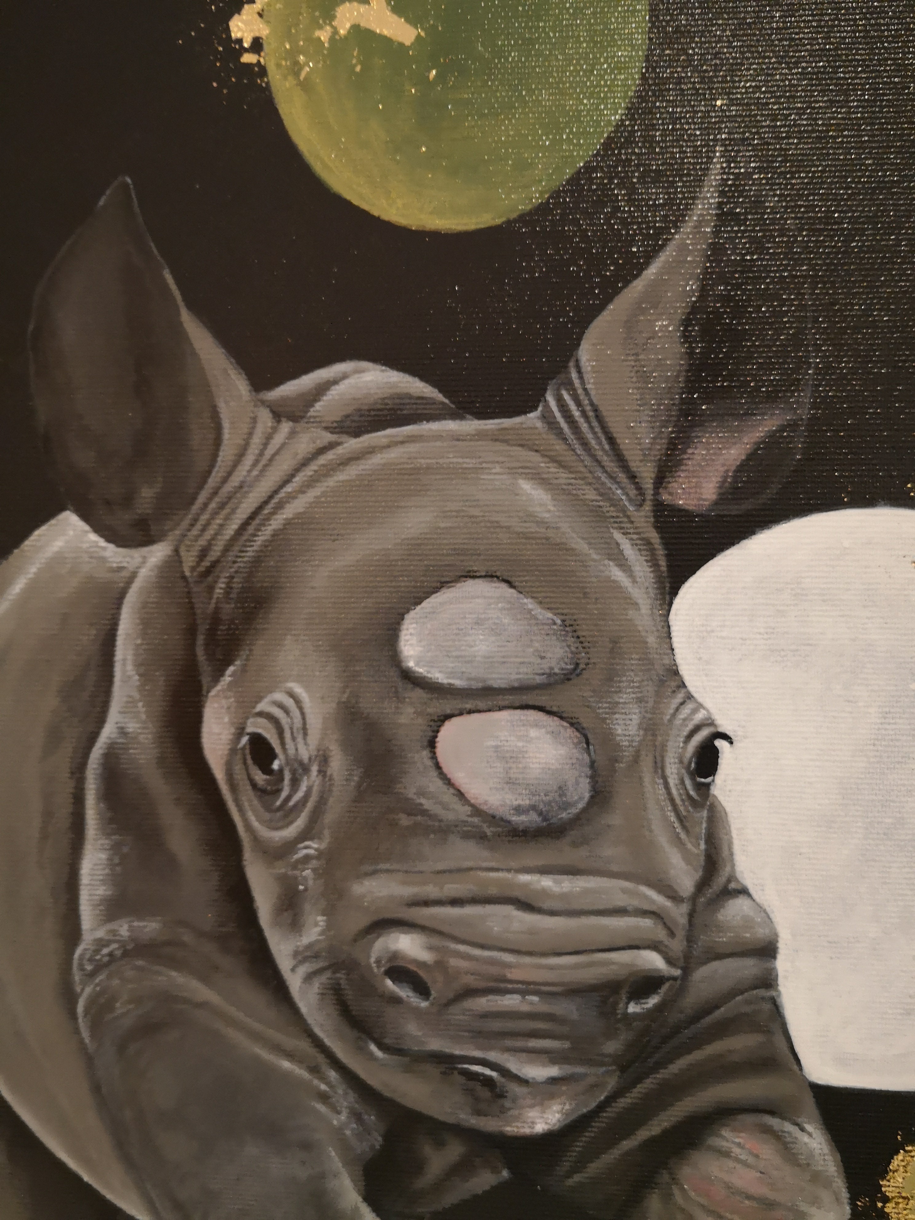 RINOS