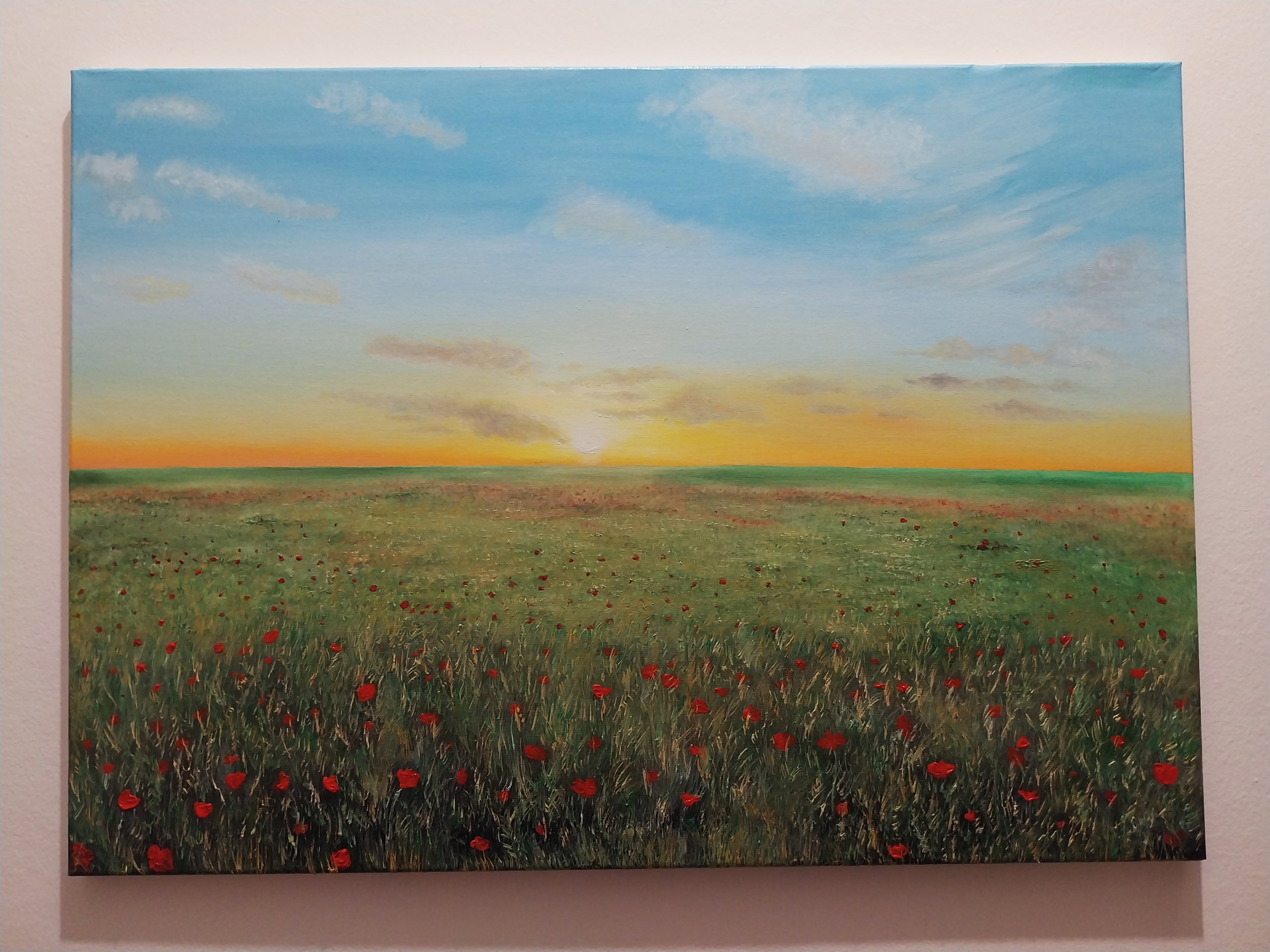 Campo di papaveri al tramonto